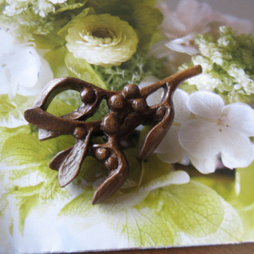 ヤドリギ（149） 【公式通販】