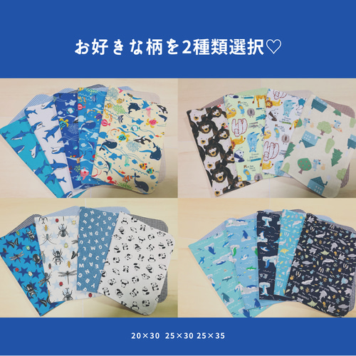 ランチョンマット 2枚選択 ☆25×35 20×30 25×30ランチマット ナプキン