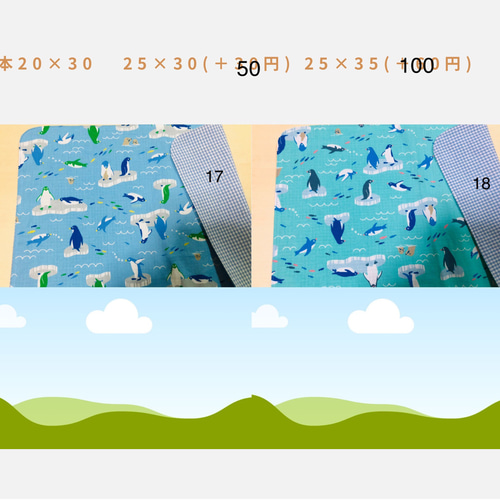 ランチョンマット 2枚選択 ☆25×35 20×30 25×30ランチマット ナプキン