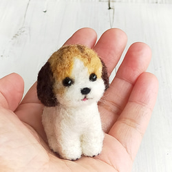 羊毛フェルト オーダー 「リアルで可愛いワンちゃん」 トイプードル