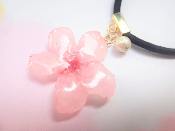 本物のお花✕コットンパール　櫻美人　ヘアゴム 4枚目の画像