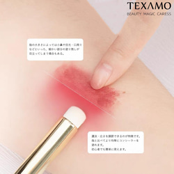 【再入荷】TEXAMO　A291リップ・コンシーラー両用タイプ 2枚目の画像