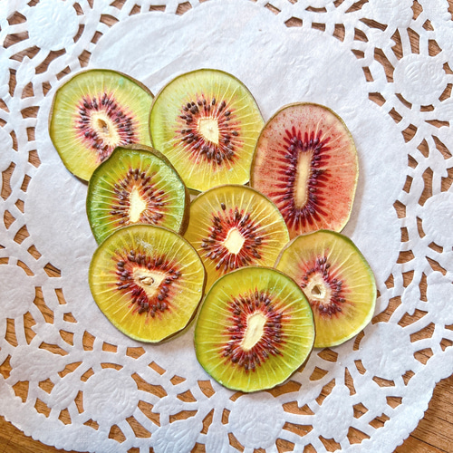 キウイのポニーフック(ミニ)#押しフルーツ#ドライフラワー