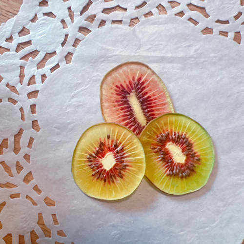 キウイのポニーフック(ミニ)#押しフルーツ#ドライフラワー