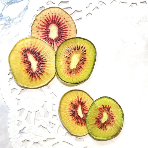 キウイのポニーフック(ミニ)#押しフルーツ#ドライフラワー