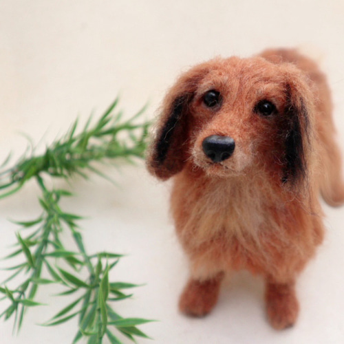 オーダー 犬♡ダックス 世界でたったひとつ♡うちの子製作♡羊毛