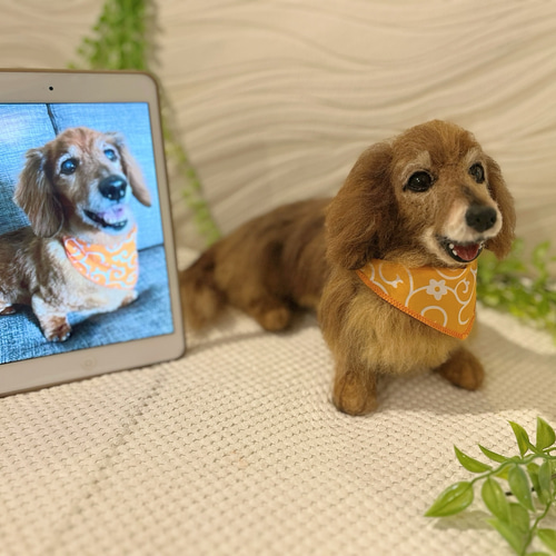 オーダー 犬♡ダックス 世界でたったひとつ♡羊毛フェルト♡ミニチュア