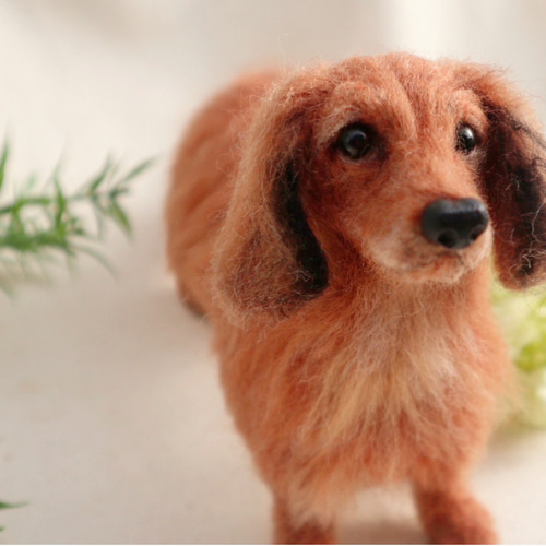 える様　オーダー専用　羊毛フェルト　犬　ミニチュアダックス　パピヨン　ミックス える様 オーダー専用 羊毛フェルト 犬 ミニチュアダックス