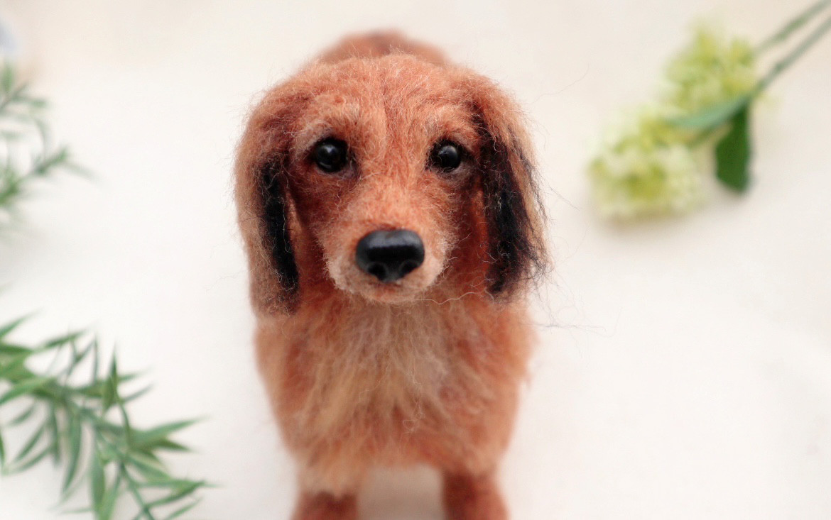 オーダー 犬♡ダックス 世界でたったひとつ♡うちの子製作♡羊毛