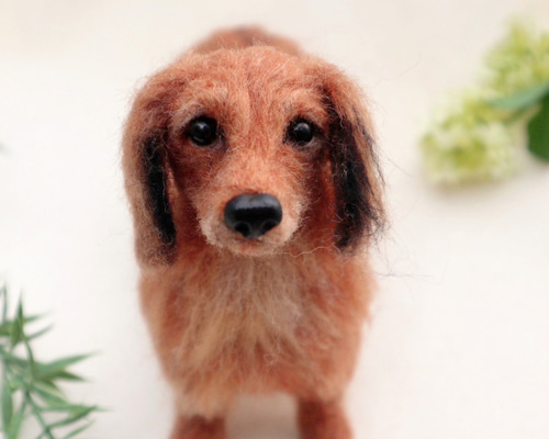 える様　オーダー専用　羊毛フェルト　犬　ミニチュアダックス　パピヨン　ミックス える様 オーダー専用 羊毛フェルト 犬 ミニチュアダックス