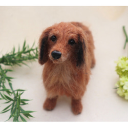 羊毛フェルト オーダー「リアルで可愛いワンちゃん(ダックスフント