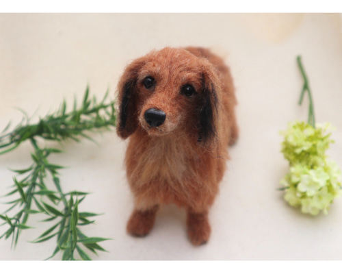 オーダー 犬♡ダックス 世界でたったひとつ♡うちの子製作♡羊毛