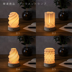 電球ランプ G70コイル下 14枚目の画像