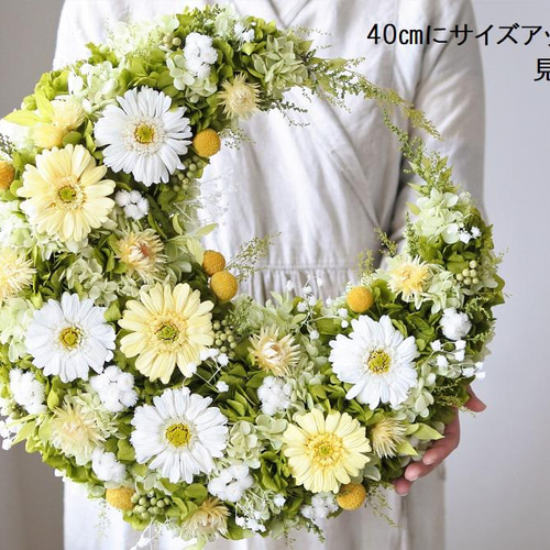 ガーベラとフレッシュグリーンの三日月リース30㎝ プリザーブド