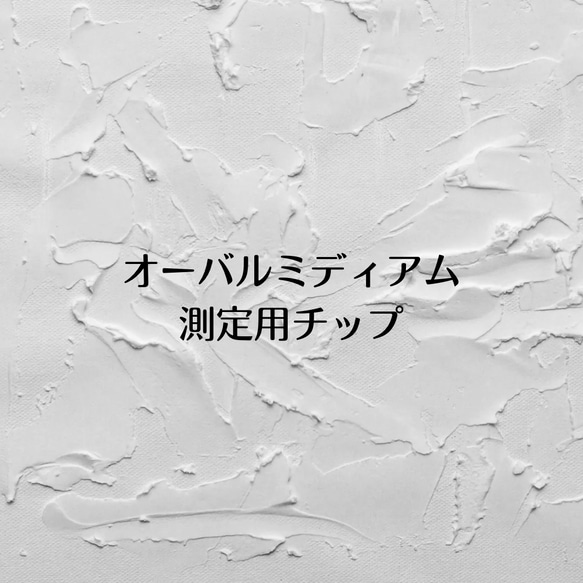 測定用チップオーバル 1枚目の画像