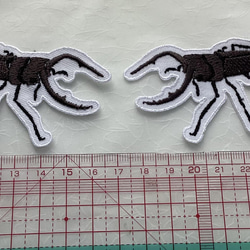 カブトムシ、クワガタ、ヘラクレスオオカブト、ネプチューンオオカブト刺繍アイロンワッペン 3枚目の画像