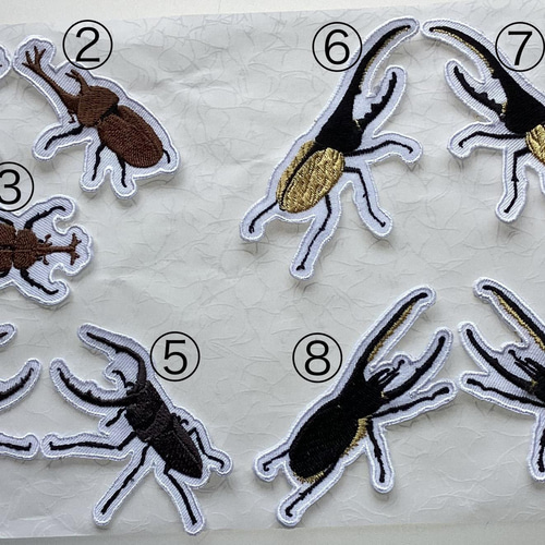 カブトムシ、クワガタ、ヘラクレスオオカブト、ネプチューン