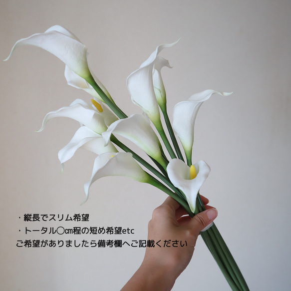  第3張的照片