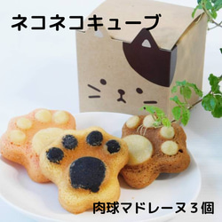 プレゼント　かわいい猫　ネコクッキーと肉球マドレーヌ　ギフト【ねこねこキューブ】 3枚目の画像