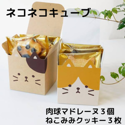 プレゼント　かわいい猫　ネコクッキーと肉球マドレーヌ　ギフト【ねこねこキューブ】 1枚目の画像