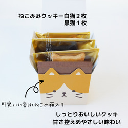 プレゼント　かわいい猫　ネコクッキーと肉球マドレーヌ　ギフト【ねこねこキューブ】 6枚目の画像