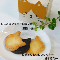 プレゼント　かわいい猫　ネコクッキーと肉球マドレーヌ　ギフト【ねこねこキューブ】 4枚目の画像