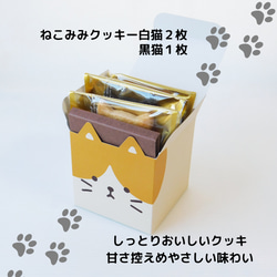 プレゼント　かわいい猫　ネコクッキーと肉球マドレーヌ　ギフト【ねこねこキューブ】 5枚目の画像