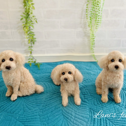 受注製作》人気のトイプードル♡世界でたったひとつ♡ずっといつもそば