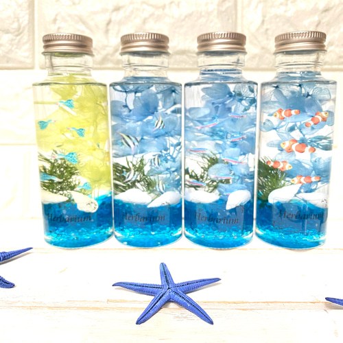 再販5－ 小さな水族館セット アクアハーバリウム 熱帯魚 お得な4本