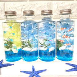 NO.112 アクアリウム✨クラゲ＆熱帯魚の固まるハーバリウム箸置き2個set 再販5－ 小さな水族館セット アクアハーバリウム 熱帯魚 お得な4本