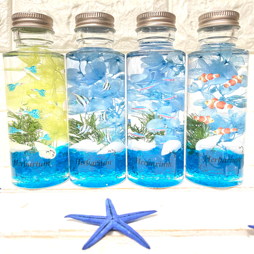 再販5－ 小さな水族館セット アクアハーバリウム 熱帯魚 お得な4本