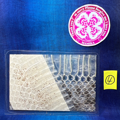 のりこ様専用 白蛇 マムシ 切らず一匹 額 お守り 蓮 金運 縁起物 金 虹