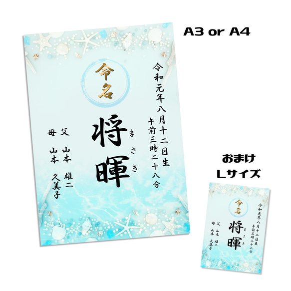 夏　命名書　ハイビスカス　貝殻　プルメリア　海　七夕　ひまわり　金魚　高品質光沢写真プリント　男の子　女の子　 16枚目の画像