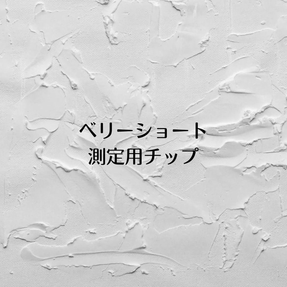 測定用チップラウンドベリーショート 1枚目の画像