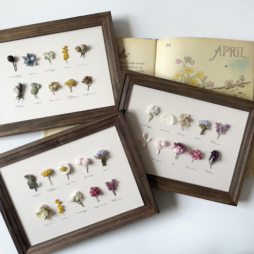 errer フランネルフラワー 土台付 筆記体 樹脂標本 植物標本 アンティーク errer フランネルフラワー 土台付 筆記体 樹脂標本 植物標本