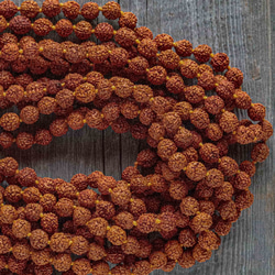 Rudraksha ルドラークシャ ビーズ up to you! 通販 9988612