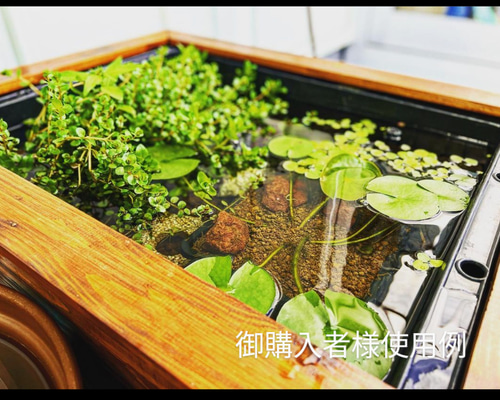 da8b2b3e0f878182f79b082f8b1799