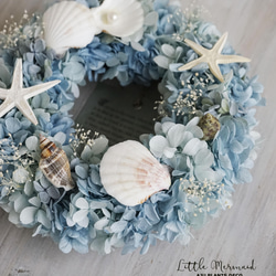 Summer Wreath ～Little Mermaid～　20cm（プリザ） 3枚目の画像
