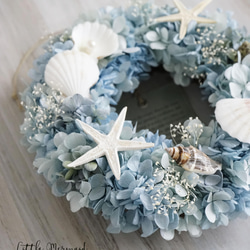 Summer Wreath ～Little Mermaid～　20cm（プリザ） 5枚目の画像