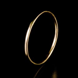 Primitive Ring / Shine 3枚目の画像