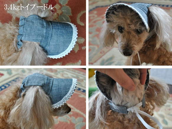 犬の帽子*インディゴデニムヘリンボーン*3㎏～6㎏位の小型犬用 4枚目の画像