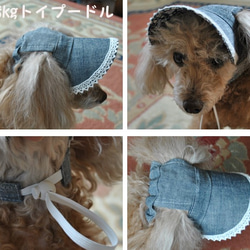 犬の帽子*レッド綿ダンガリー*3㎏～5㎏位の小型犬用 4枚目の画像