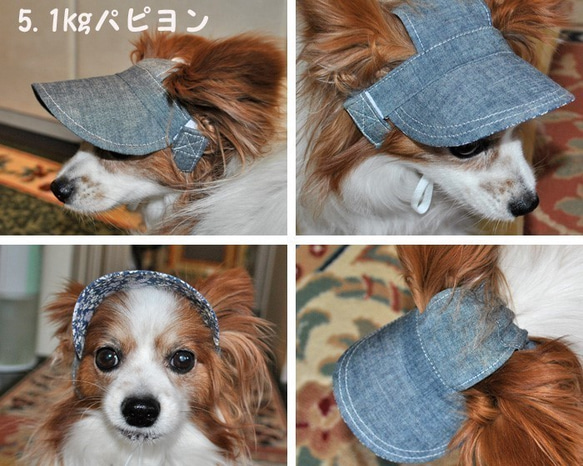 犬の帽子*インド綿チェックブルー*3㎏～5㎏位の小型犬用 3枚目の画像