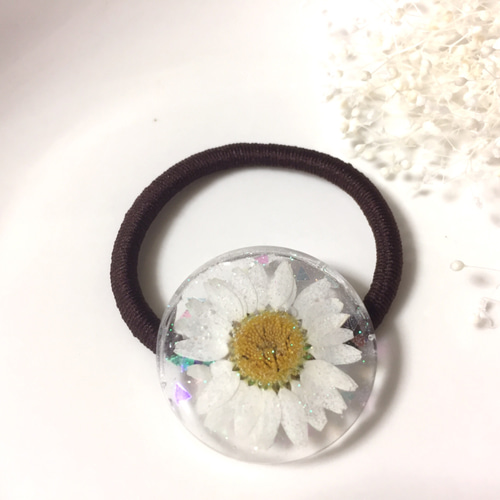 本物の花】ホワイトノースポールのレジンヘアゴム＊ヘアアクセサリー