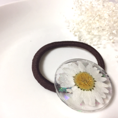 本物の花】ホワイトノースポールのレジンヘアゴム＊ヘアアクセサリー