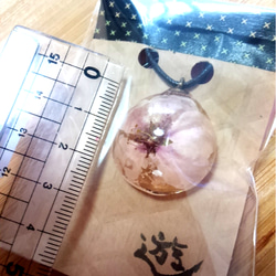 『さくらドーム』
レジンに閉じ込めた本物の花…桜のドライフラワーの革紐ペンダント 4枚目の画像