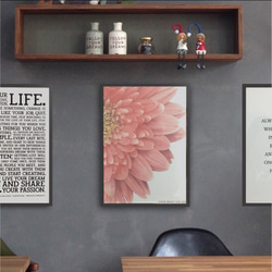 ポスター【ピンクフラワー】インテリア 花 デザイン アート ピンク フラワー カフェ 北欧 ナチュラル 4枚目の画像