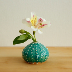 uni海膽花卉陶器unv-6 第2張的照片