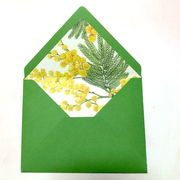 Tassotti ペーパー インナー の封筒 Green 3枚セット 3枚目の画像