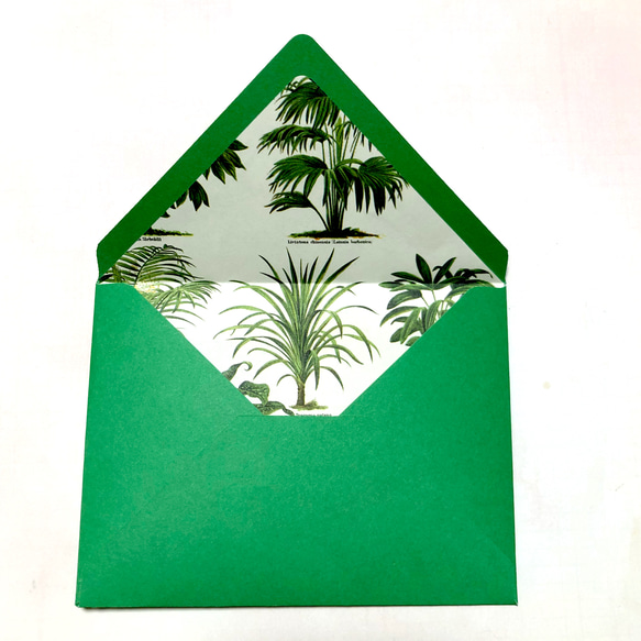 Tassotti ペーパー インナー の封筒 Green 3枚セット 4枚目の画像